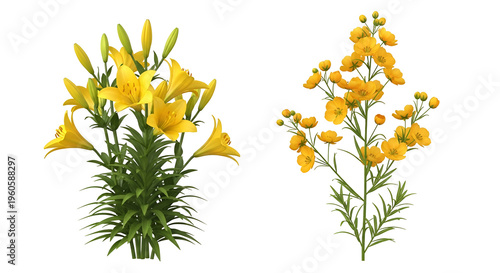 Yellow lilies and small yellow flowers on black background