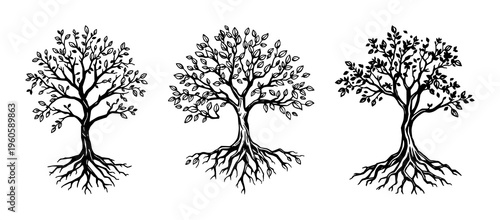 Black Trees and root with leaves look beautiful and refreshing. Tree and roots LOGO style. set with simple line art design featuring line art, illustrations, graphic resources with vector and desig...