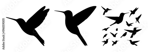 Hummingbird hovering silhouette set with simple line art design featuring line art, illustrations, graphic resources with vector and design elements