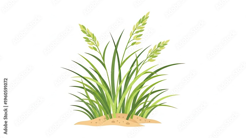 Fototapeta premium Cartoon Style Wheat Plant Illustration Against White Background.jpg