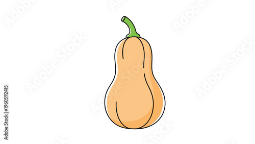 Simple illustration of a single butternut squash with a green stem isolated on a plain white background for vegetable and food themes.