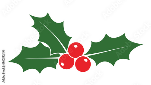 Traditional illustration of green holly leaves with jagged edges and three bright red berries representing a christmas decoration.