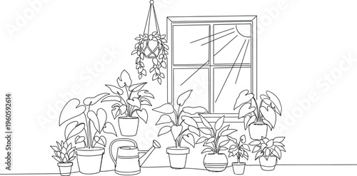 plants in front of a window, line drawing