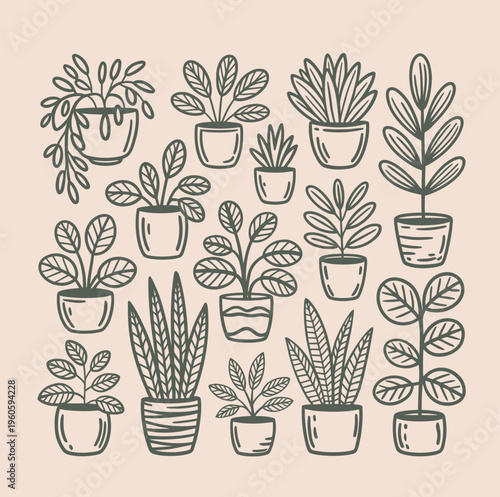 An assortment of various potted house plants are drawn in a simple, repetitive outline style on a muted background.