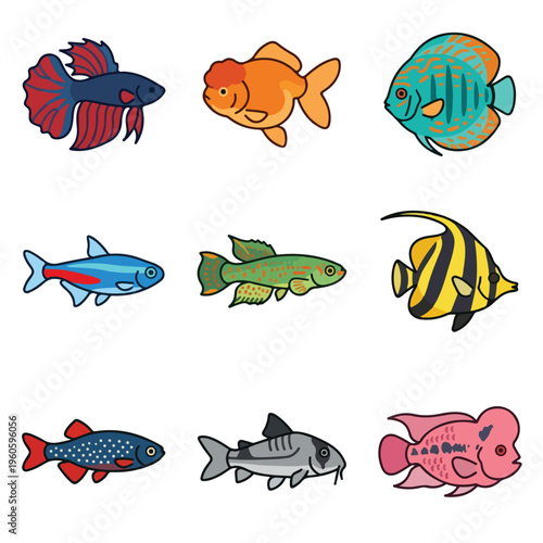 Colorful Fish Species Variety 2.