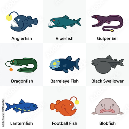 Deep Sea Fish Illustrations.