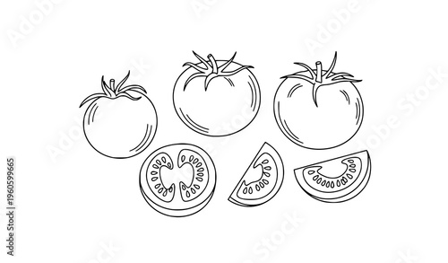 Whole and sliced tomatoes outline sketch food vector illustration