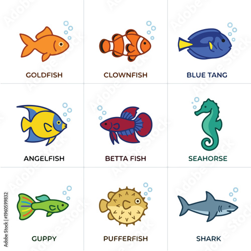 Fish Marine Life Variety.