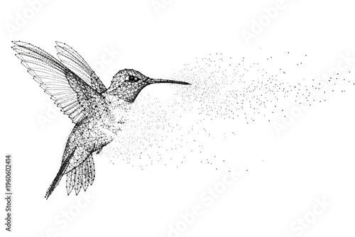 Abstract Black And White Hummingbird Made Of Small Dots Dissolving Into Light Particles isolated On transparent Background