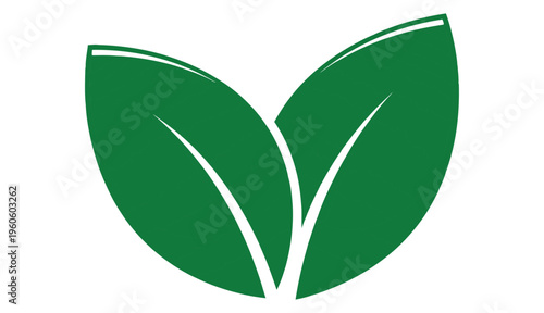 Two leaves icon. Leaf symbol. Nature organic isolated illustration. Vegetarian or vegan label. Green eco logo