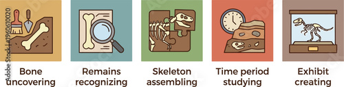 A series of icons illustrates the five stages involved in paleontological discovery and museum exhibition preparation.
