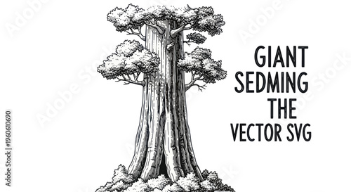 Hand-drawn giant sequoia tree, majestic, ancient, and powerful, isolated on white background.