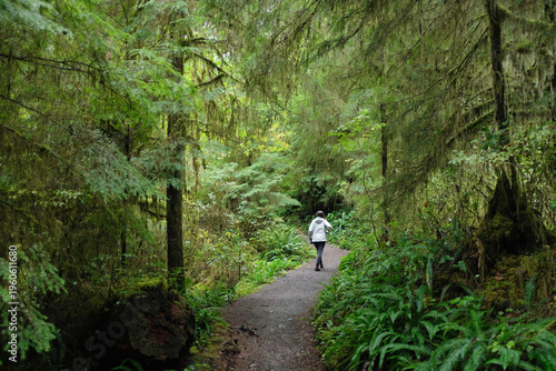Woman walking in Pacific Northwest rain forest