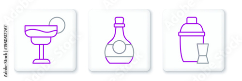 Set line Cocktail shaker, and Bottle of cognac or brandy icon. Vector