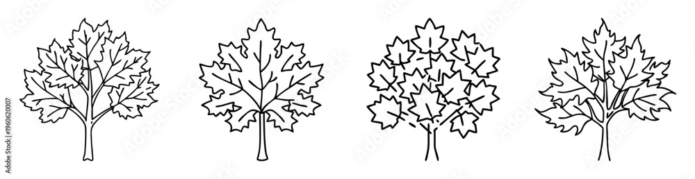 Obraz premium Four outline drawings of trees with uniquely shaped leaves and trunks