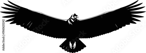 Majestic Andean californiya condor silhouette vector.