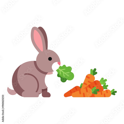 Cute Bunny Eating Carrots.