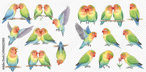 Set of colorful lovebird parrots in various poses, hand-drawn watercolor illustration on transparent background.
