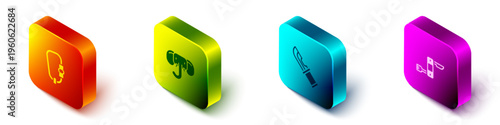 Set Isometric Carabiner, Elephant, Hunter knife and Swiss army icon. Vector
