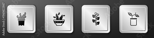 Set Exotic tropical plant in pot, Cactus peyote, Ivy branch and Plant icon. Silver square button. Vector