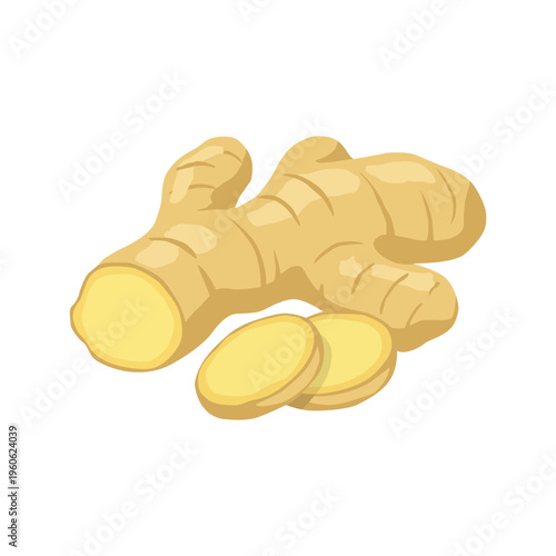 Ginger Root Illustration