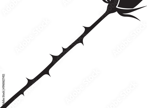Black rose stem, thorn vector, dark floral element, botanical illustration
