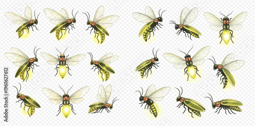 Set of glowing fireflies in various poses, isolated on a transparent background, showcasing their bioluminescent light.