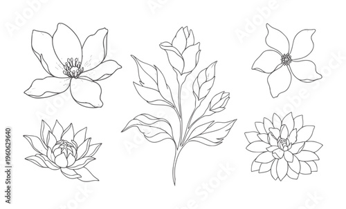 Tablou pe pânză Five delicate line floral including magnolias and a dahlia flower botanical natu