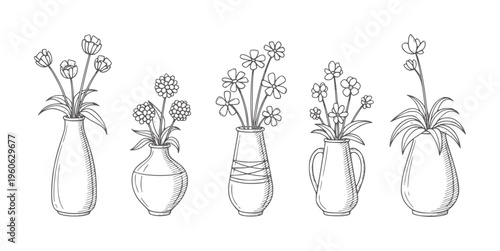 Five sketched vases with assorted flowers and leaves white floral botanical bloom