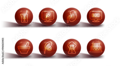 Set line Laboratory glassware or beaker, Mortar and pestle, Bio healthy food, Chemical explosion, Leaf leaves, Location with leaf, Test tube flask and Human kidney icon. Vector