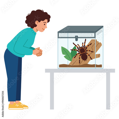 A woman curiously observes a large spider in a terrarium on a table.