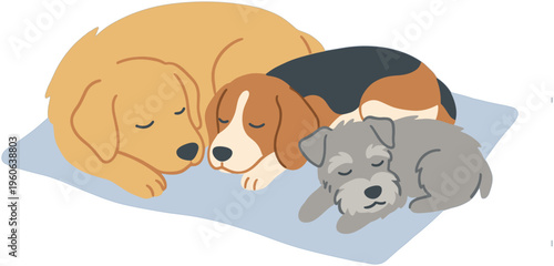 Three dogs sleeping peacefully on a mat together indoors