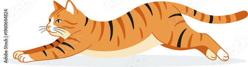 A cat stretches on the floor with its front paws extended forward.