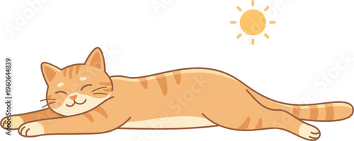 An orange tabby cat lies on the floor under warm sunlight.