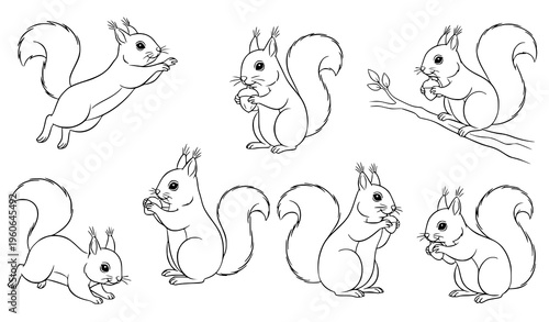 set of funny animals Playful Squirrel Line Art Collection Cute Forest Animal Vector