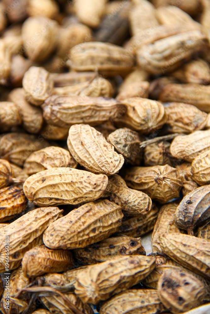 Fototapeta premium The peanut also known as the groundnuts. Close up of raw unpeeled peanuts are being dried in the sun