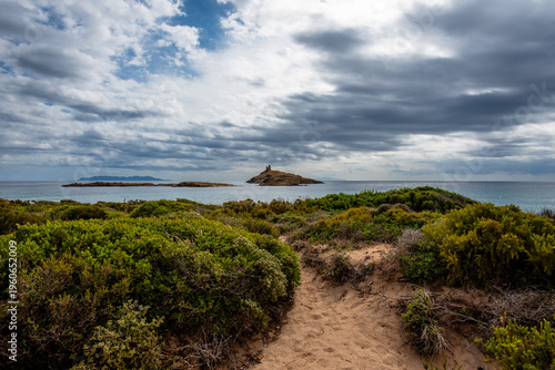 Quadro em tela Coastal shrubland overlooking island tower