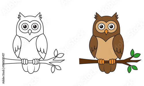 Owl illustration with colored and outlined versions
