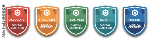 Certified badge shield logo illustration, colorful vector set for training certificates, security approval labels, and professional accreditation branding design.