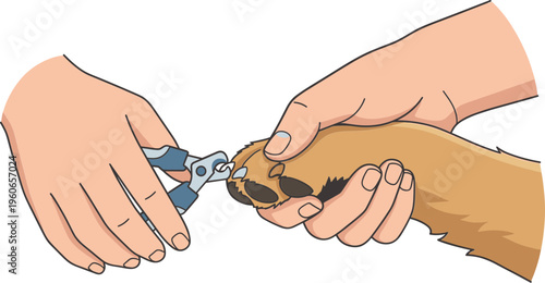 Person trimming dog's nails with clippers carefully outdoors