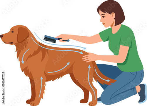 Woman grooming golden retriever dog with brush indoors