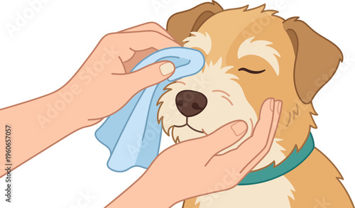 A person gently wipes a dog's face with a cloth outdoors.