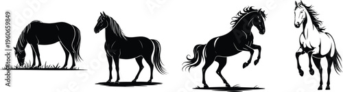 Silhouette collection of horses, equine artwork, grazing and rearing poses, animal design inspiration, dynamic motion illustration