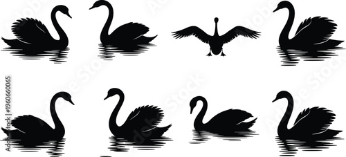 Silhouette collection of swans, bird artwork, elegant posture illustration, waterfowl design inspiration, graceful animal movement artwork