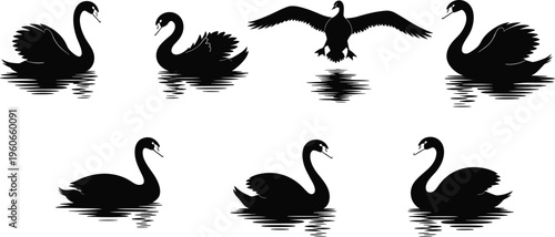 Silhouette collection of swans, elegant bird artwork, waterfowl illustration, graceful posture design inspiration, nature reflection silhouette