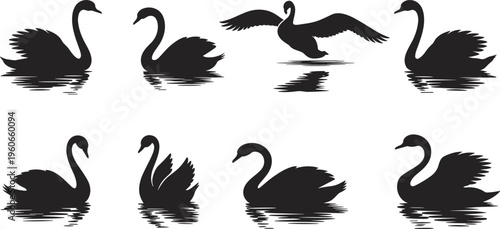 Silhouette collection of swans, elegant bird artwork, waterfowl illustration, graceful posture design inspiration, nature reflection silhouette