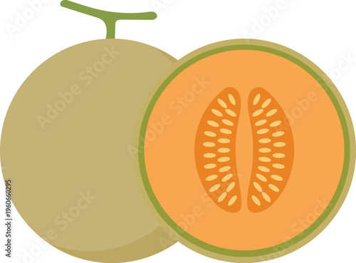 Cantaloupe Melon Illustration