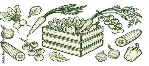 Vegetable crate set outline sketch vector illustration