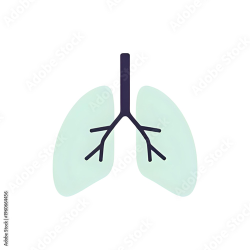 A medical illustration of lungs and trachea in human body