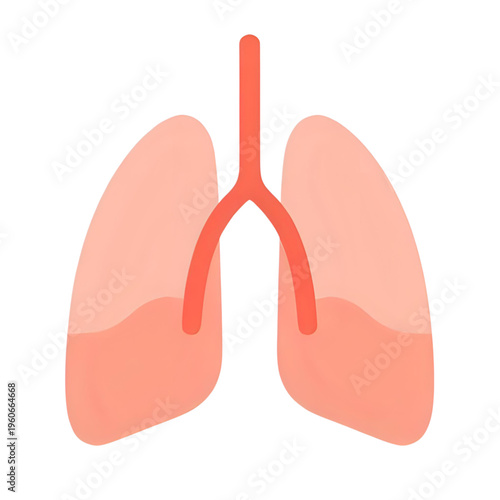 The lungs and trachea are depicted in a medical illustration with a focus on human anatomy and respiratory system.
